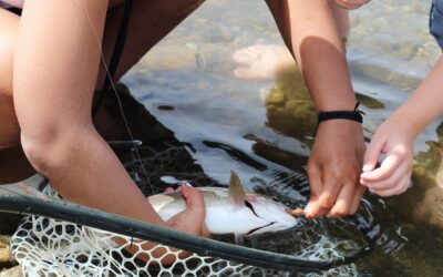 Virginia Department of Wildlife Services Support!