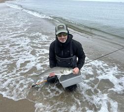 DM-Striped-Bass-scaled