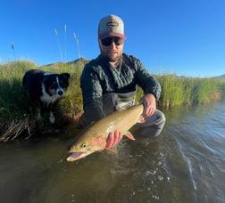 fish-2